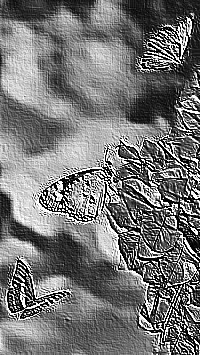 Skamielina