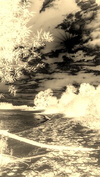 Sepia + Negatyw