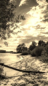 Sepia