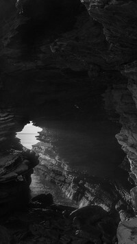 Szary