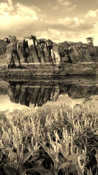 Szary + Sepia