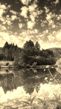Sepia