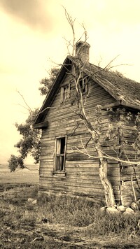 Szary + Sepia
