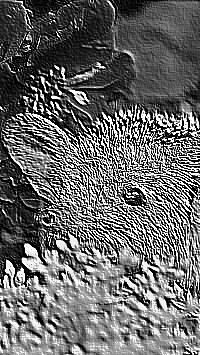 Skamielina