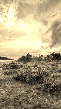 Szary + Sepia