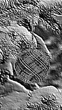 Skamielina