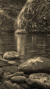 Szary + Sepia