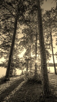 Szary + Sepia