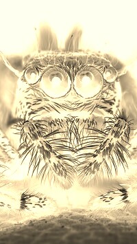 Sepia + Negatyw