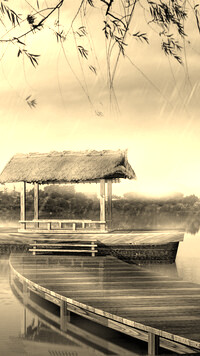 Szary + Sepia