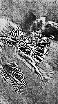 Skamielina