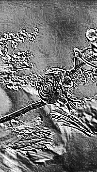 Skamielina