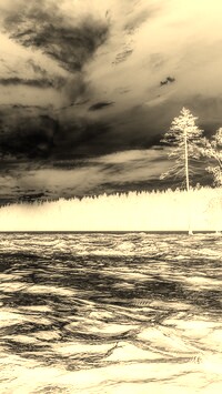Sepia + Negatyw