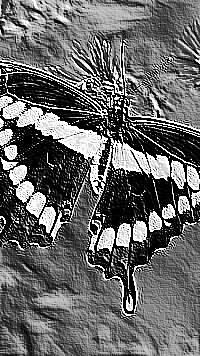 Skamielina