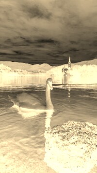 Sepia + Negatyw