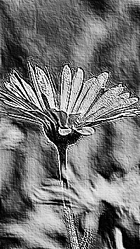 Skamielina