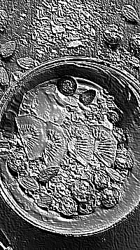 Skamielina