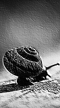 Skamielina