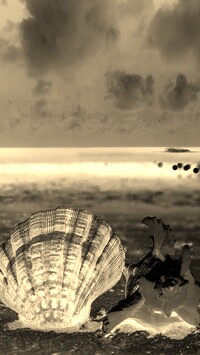 Sepia + Negatyw