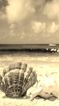 Szary + Sepia