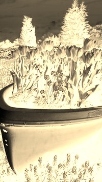 Sepia + Negatyw