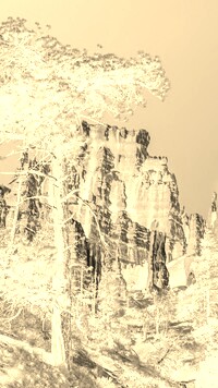 Sepia + Negatyw