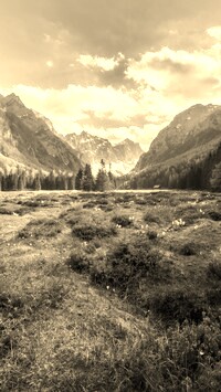 Szary + Sepia