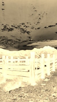 Sepia + Negatyw