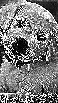 Skamielina