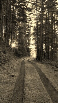 Sepia