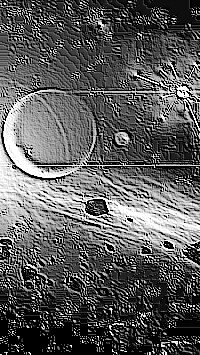 Skamielina