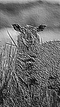 Skamielina