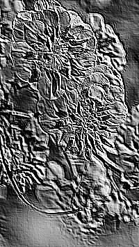 Skamielina
