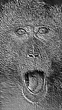 Skamielina