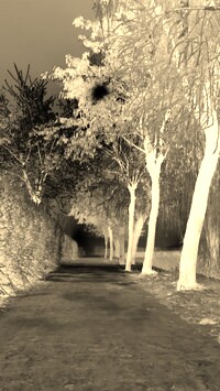 Sepia + Negatyw