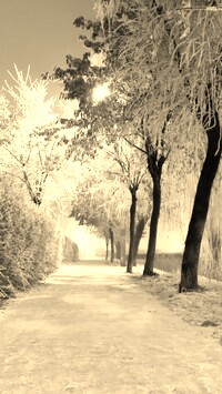 Szary + Sepia