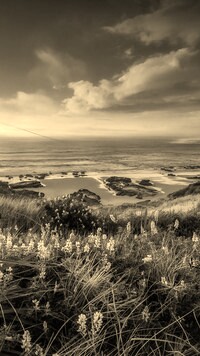 Szary + Sepia