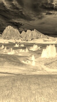 Sepia + Negatyw