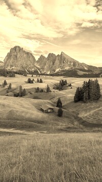 Szary + Sepia