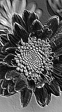 Skamielina