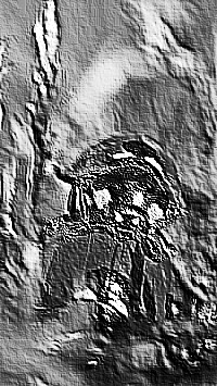 Skamielina