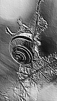Skamielina
