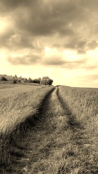 Szary + Sepia