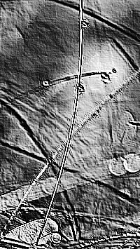 Skamielina