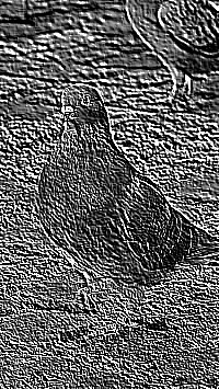 Skamielina