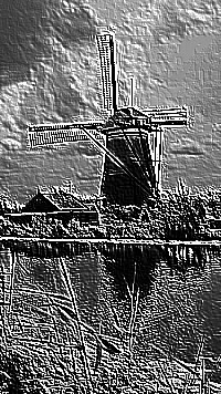 Skamielina