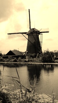Szary + Sepia