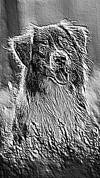 Skamielina