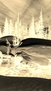 Sepia + Negatyw