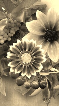 Szary + Sepia